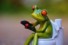 frog-on-toilet.jpg