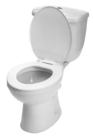white toilet white toilet