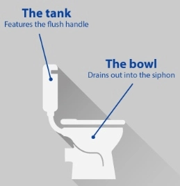 toilet bowl terminology toilet bowl terminology