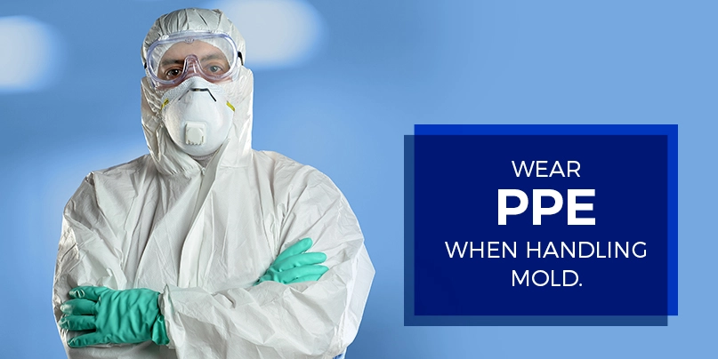 wear ppe when handling mold wear ppe when handling mold