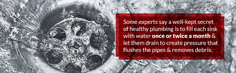 healthy plumbing secrets healthy plumbing secrets