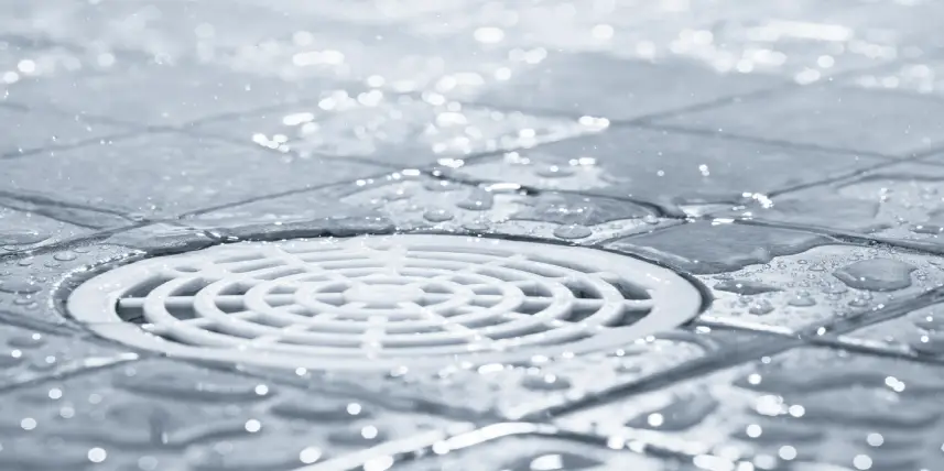A clogged shower drains.