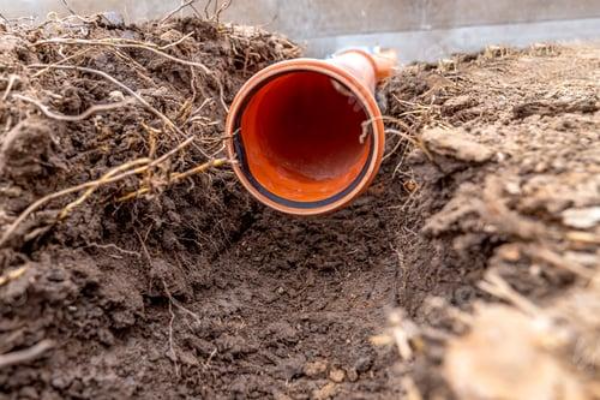 A broken sewer pipe can cause worms to make their way into homes, drainage systems, and toilets.