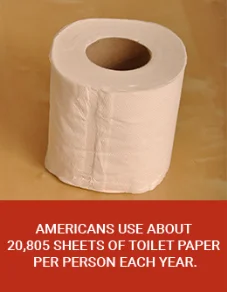 Americans Use 20,805 Sheets of Toilet Paper Per Year Americans Use 20,805 Sheets of Toilet Paper Per Year
